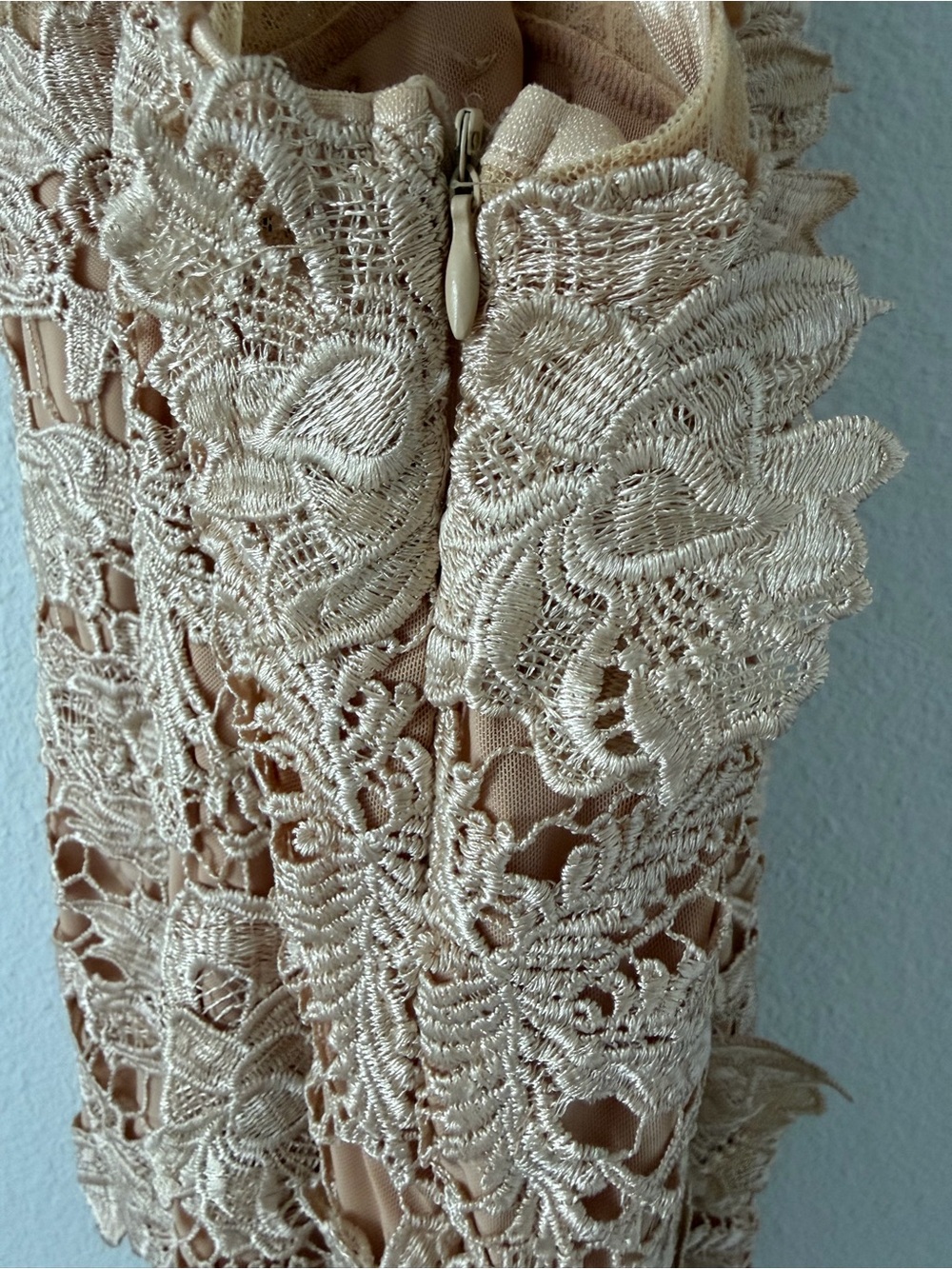 Windsor Beige Floral Lace Mini Dress - Picture 4 of 6